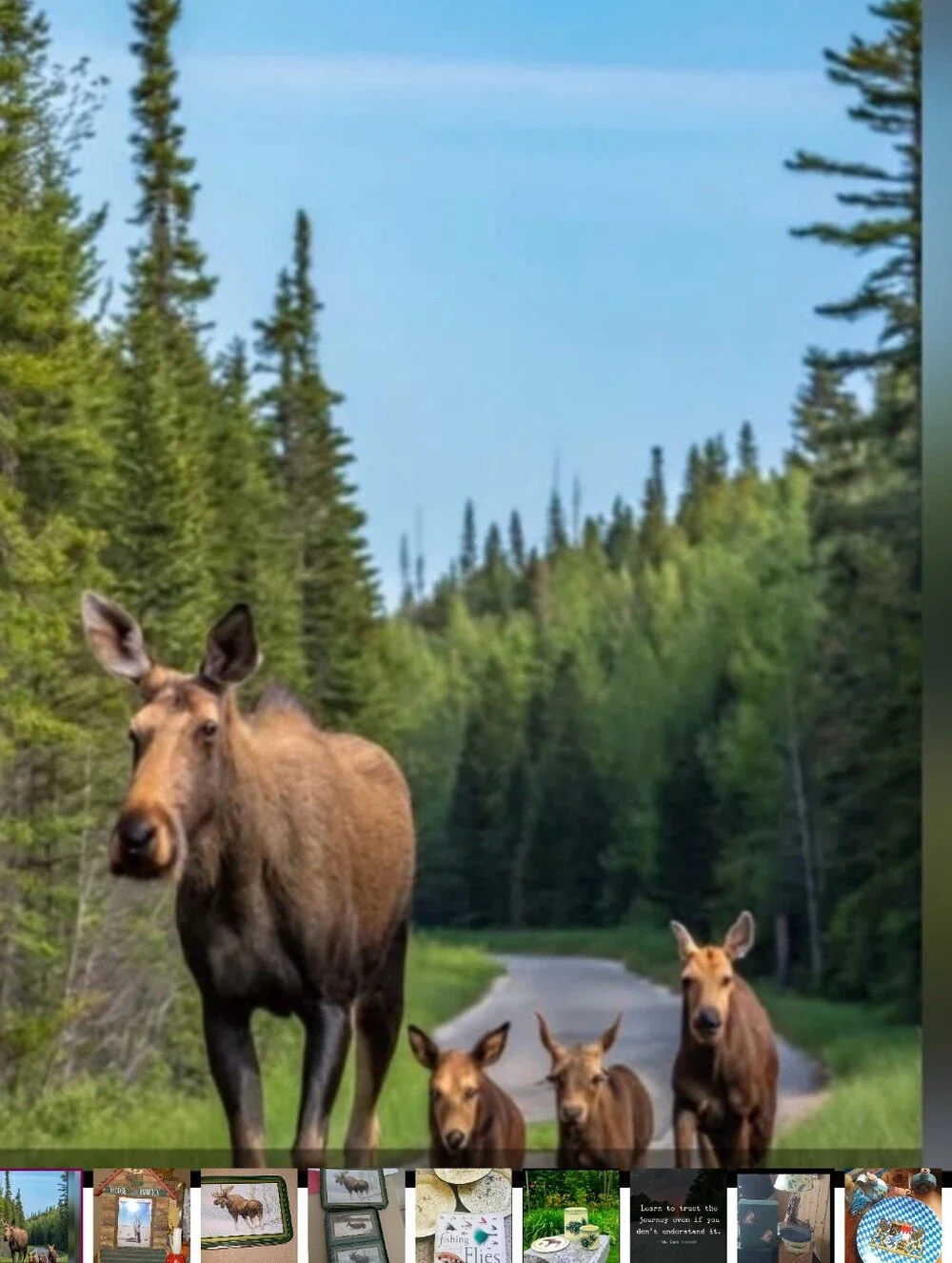 🦌 🦌 Pair of Metal Deer Decor